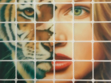 Украшения клеевые квадраты лицо тигр 12смх16см