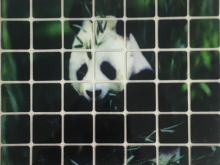 Украшения клеевые квадраты панда 15смх13см