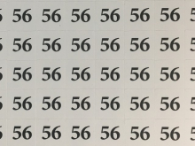   (320   ) 56