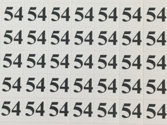   (320   ) 54